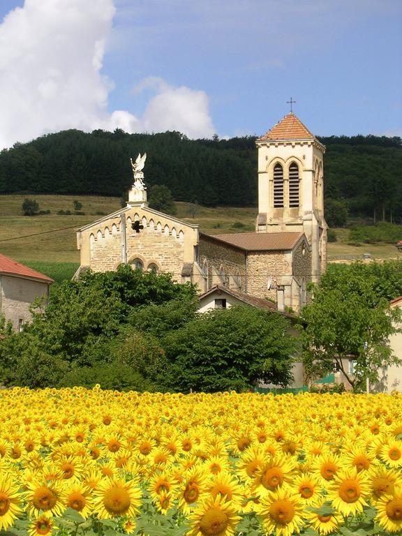 Chambre D'Hotes Tardy Saint-Michel-sur-Savasse Екстериор снимка